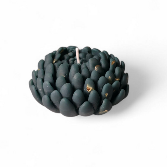 Chrysanthemum flower