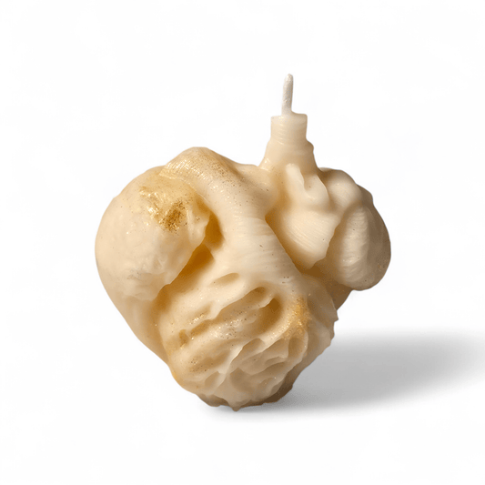 Anatomical Heart - Artisan Oasis