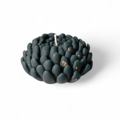 Chrysanthemum flower