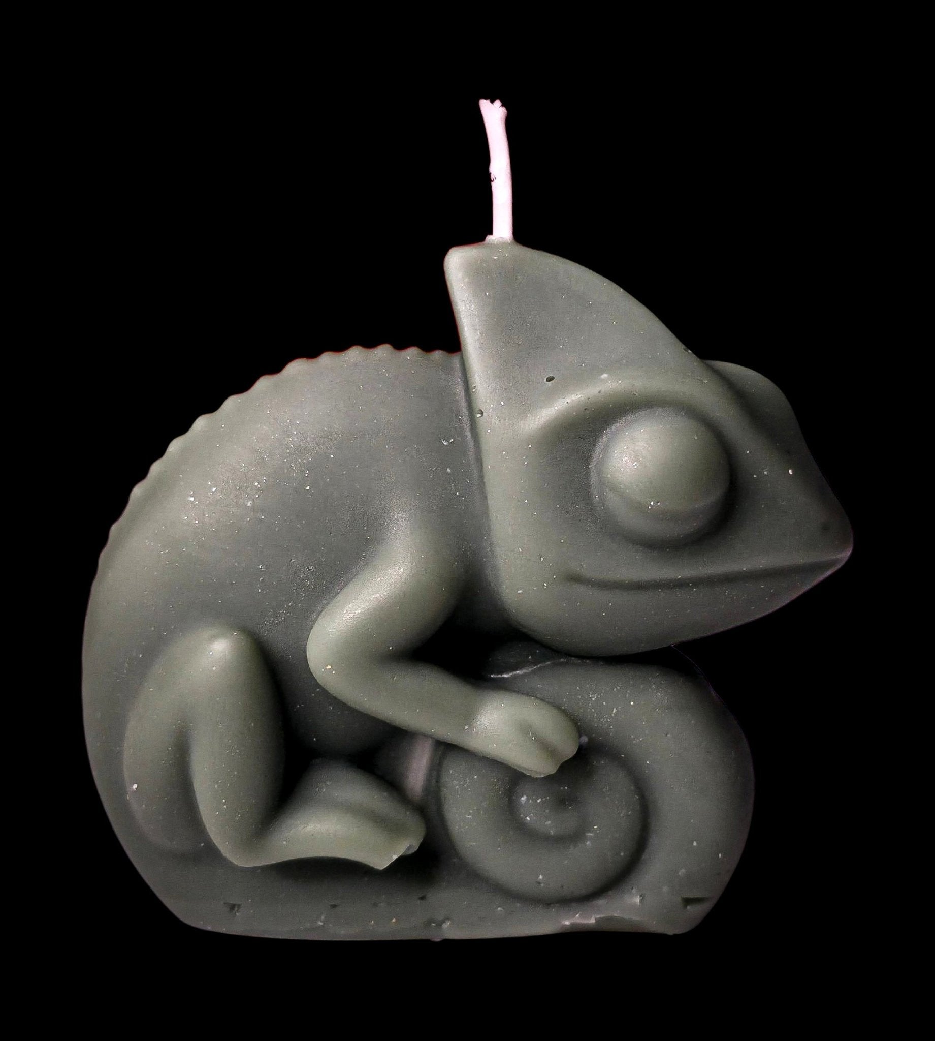 Chameleon - Artisan Oasis