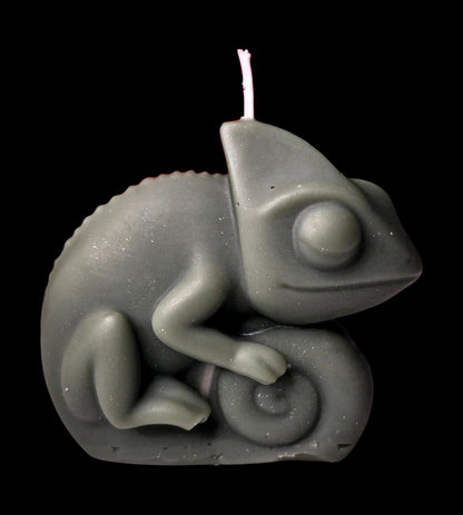 Chameleon - Artisan Oasis