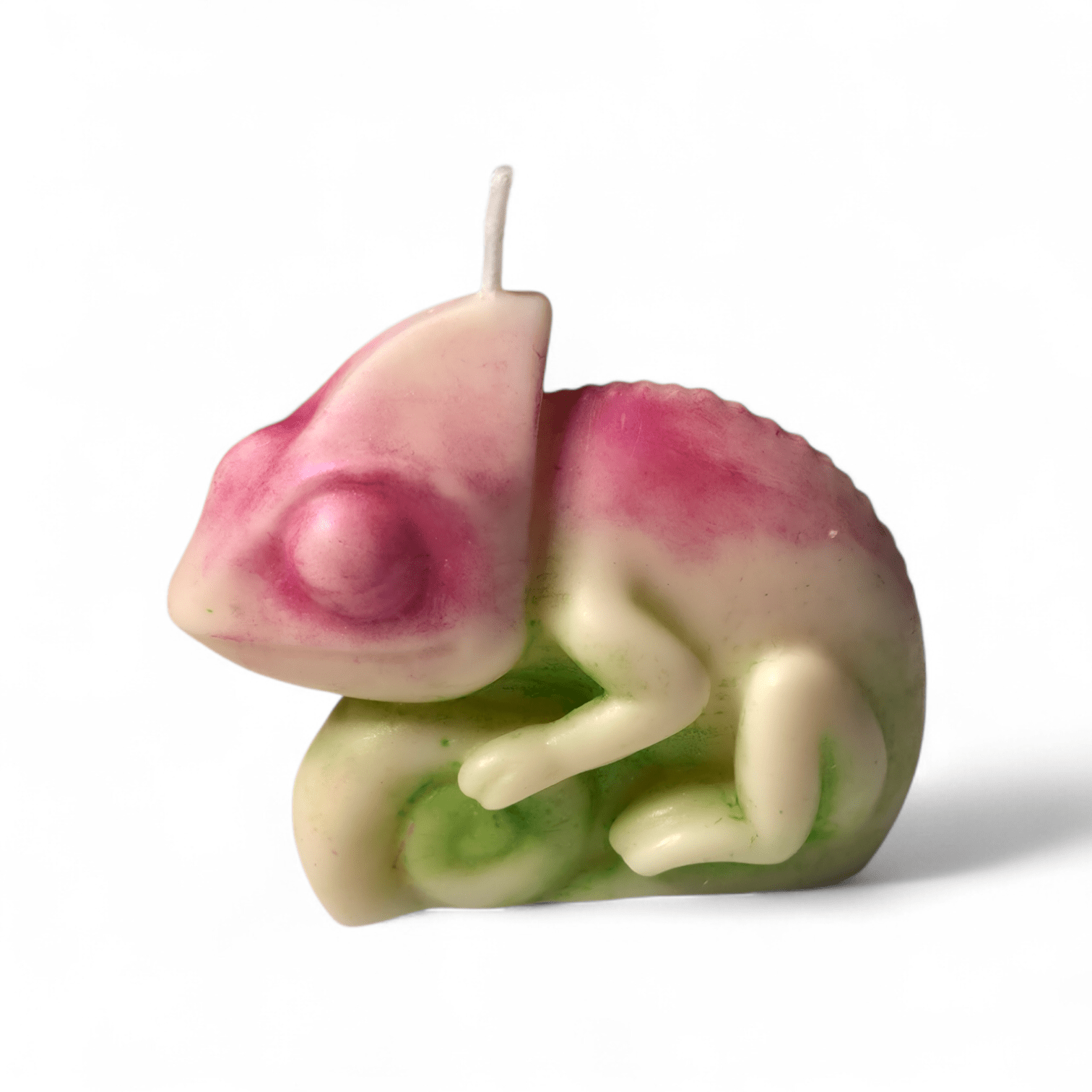 Chameleon candle - Artisan Oasis