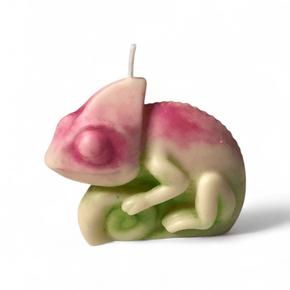 Chameleon candle - Artisan Oasis