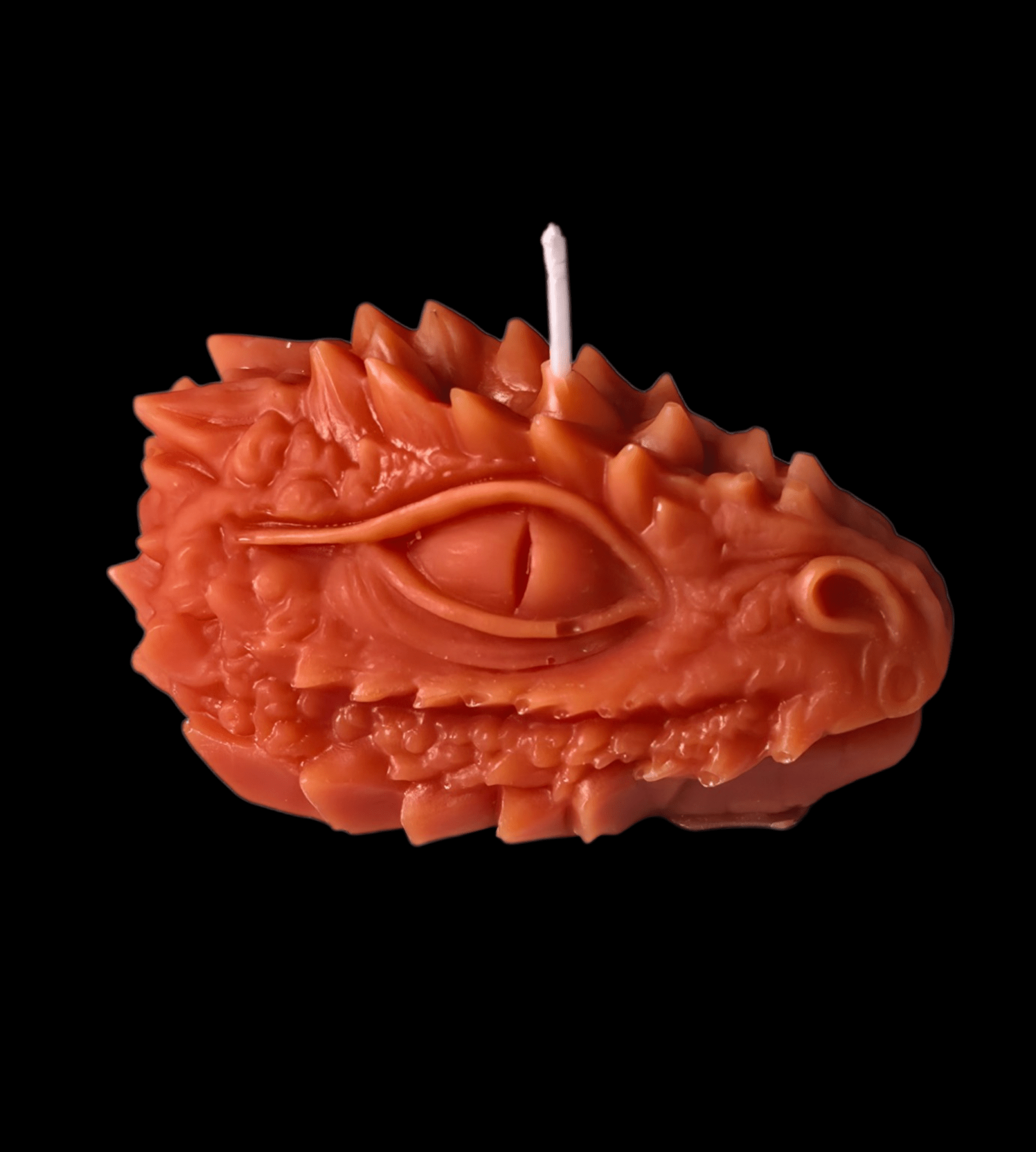 Dragon Head - Artisan Oasis