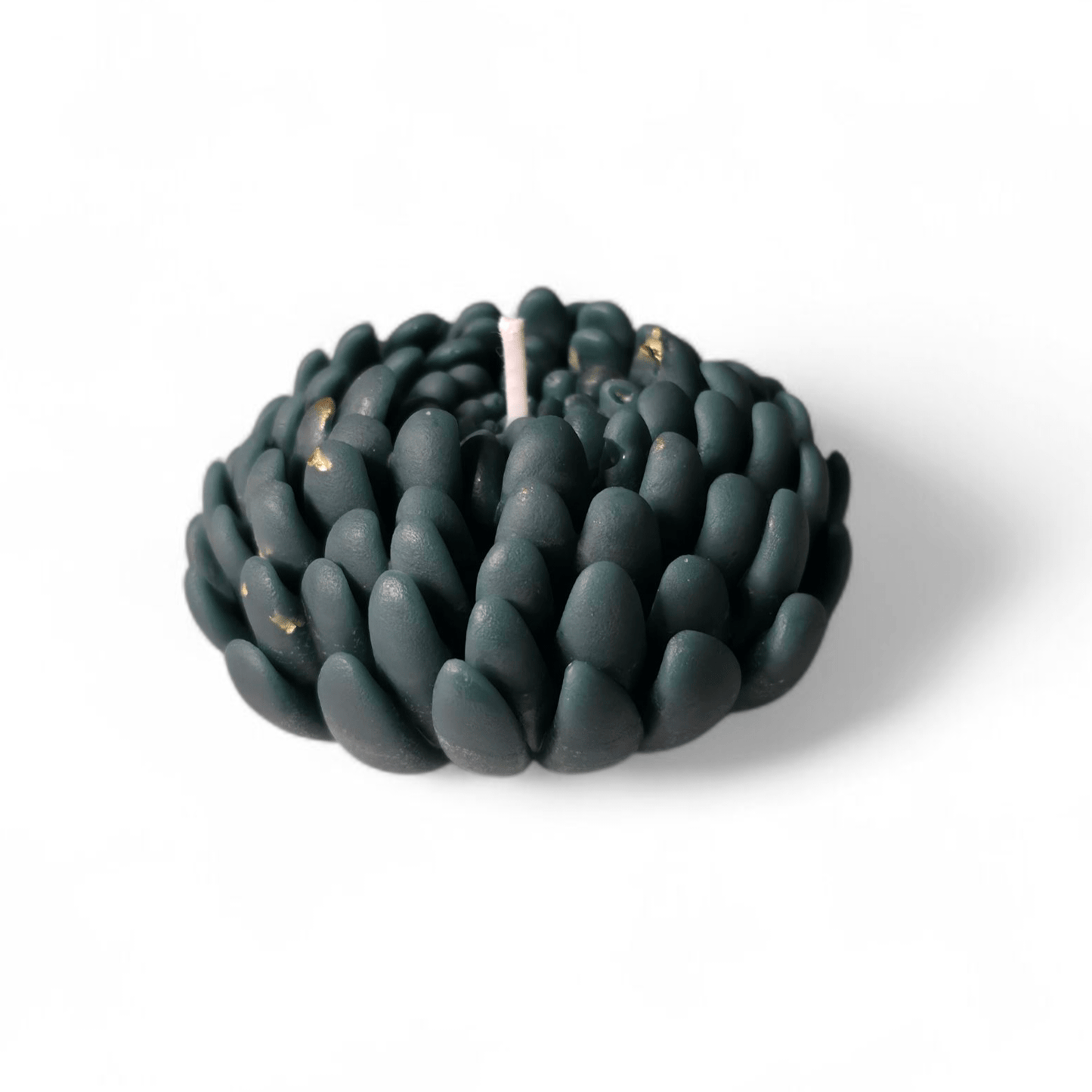 Chrysanthemum flower