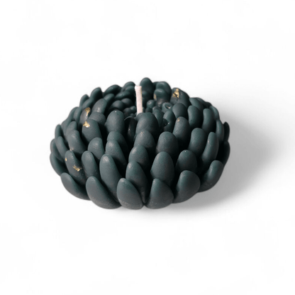 Chrysanthemum flower