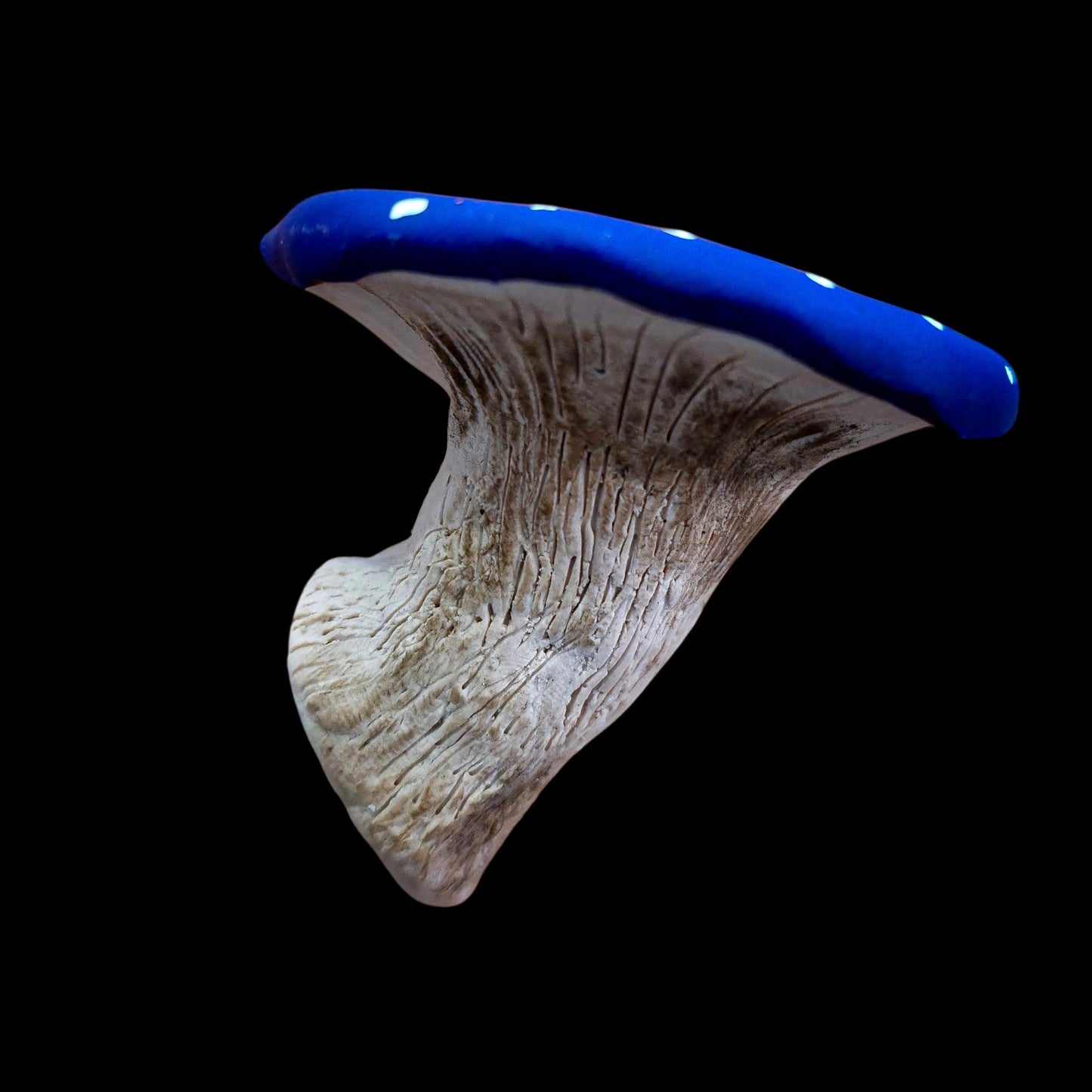 Mushroom Magnet - Artisan Oasis