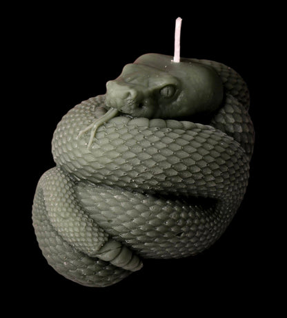 Coiled Serpent - Artisan Oasis