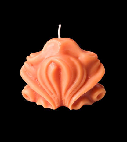 "She" Shell - Artisan Oasis