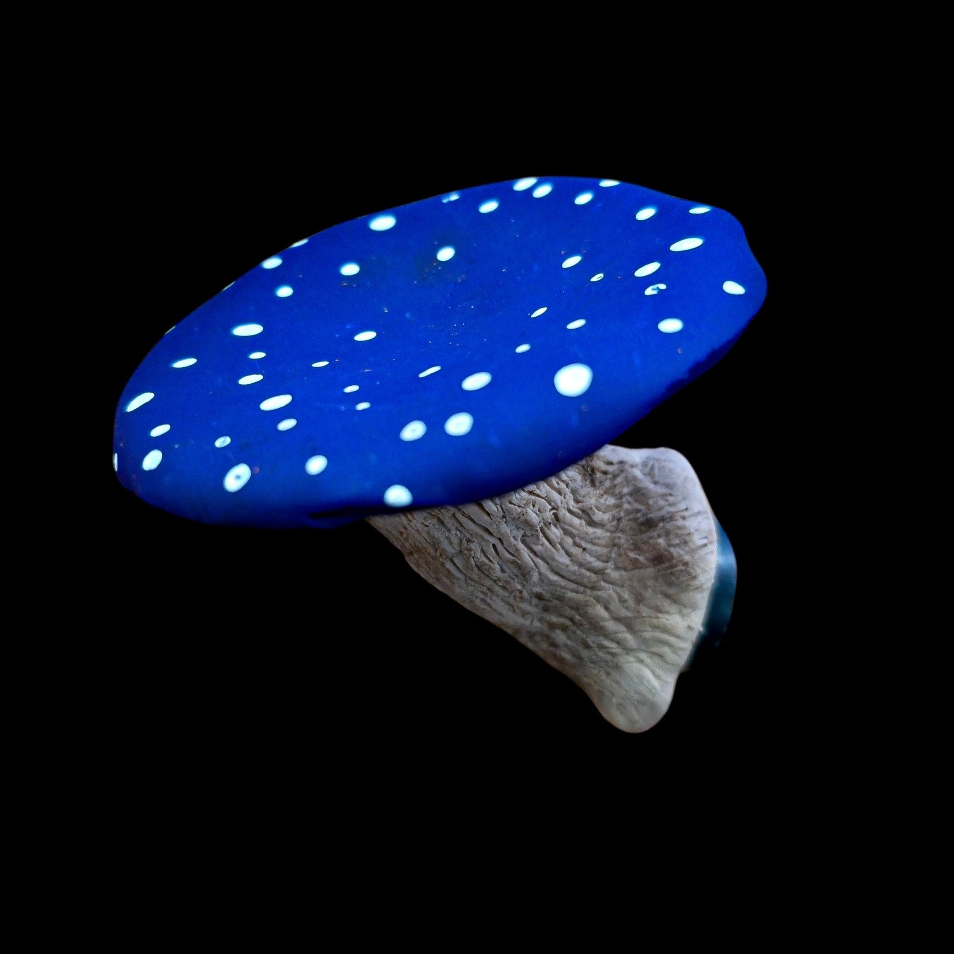 Mushroom Magnet - Artisan Oasis