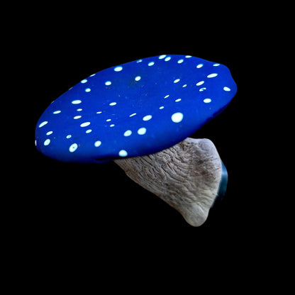 Mushroom Magnet - Artisan Oasis