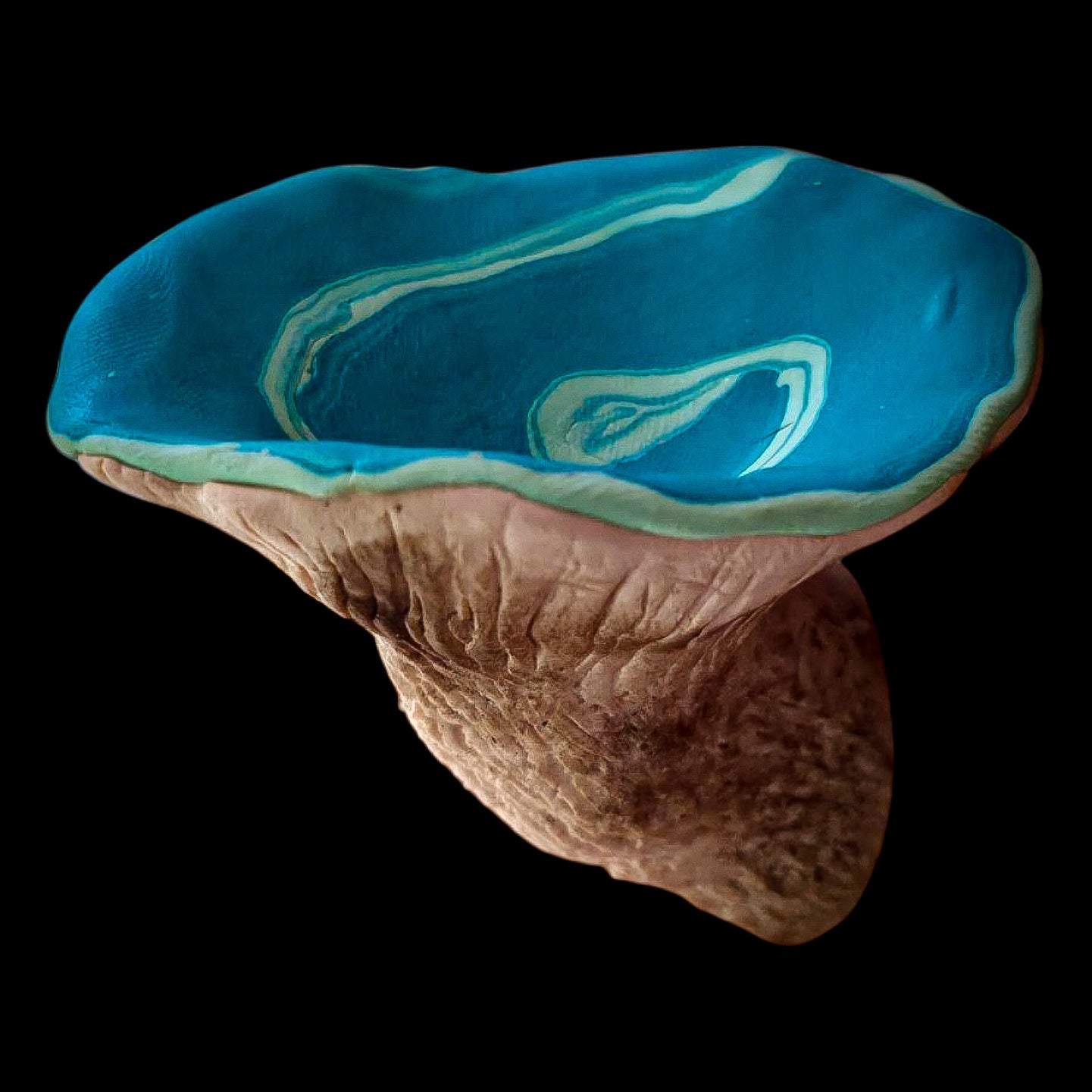 Mushroom Magnet - Artisan Oasis