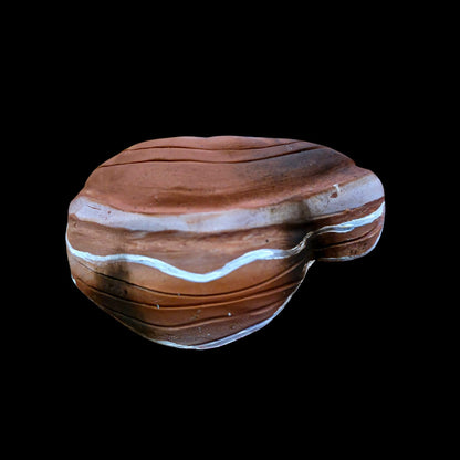 Mushroom Magnet - Artisan Oasis