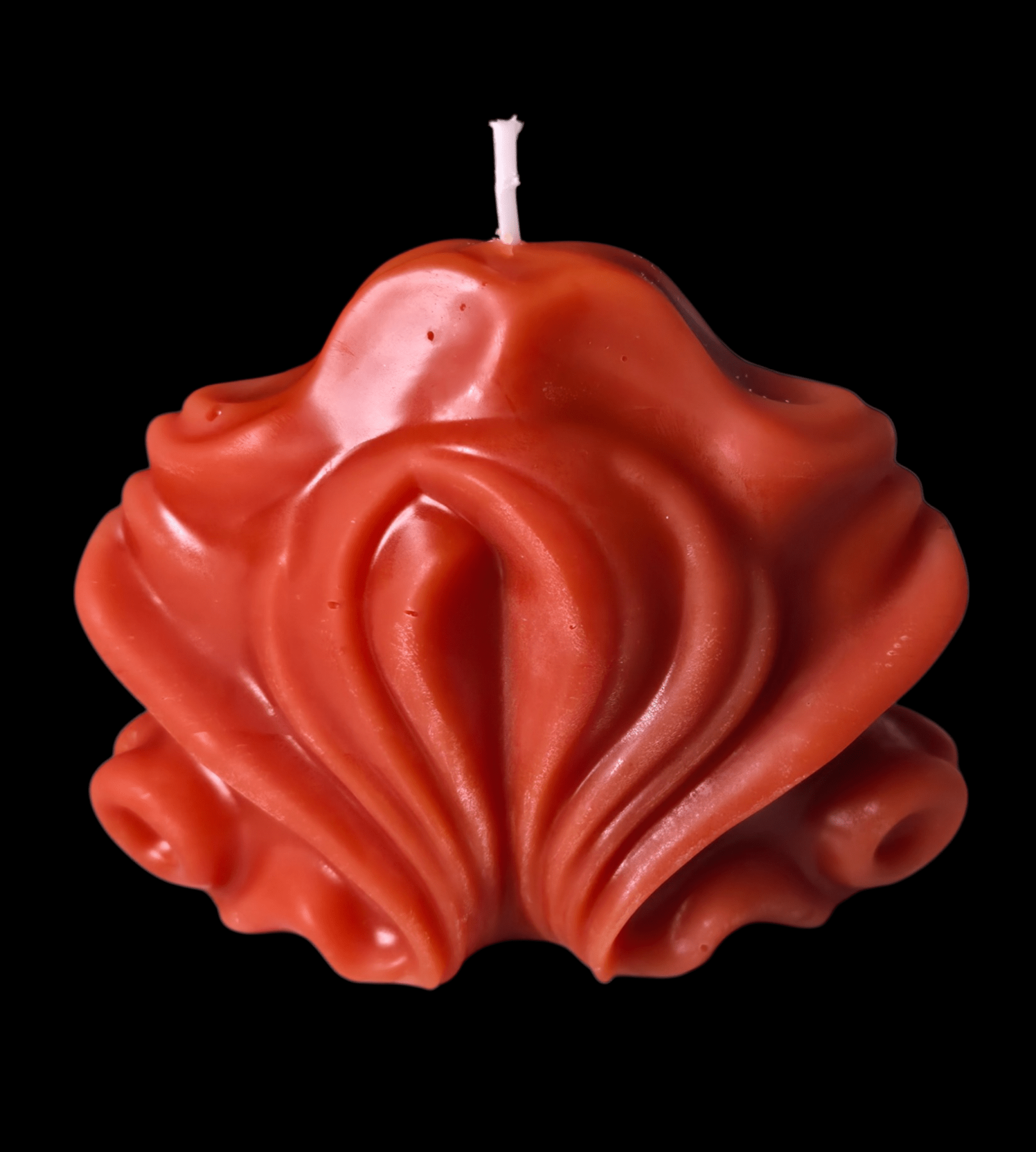 "She" Shell - Artisan Oasis