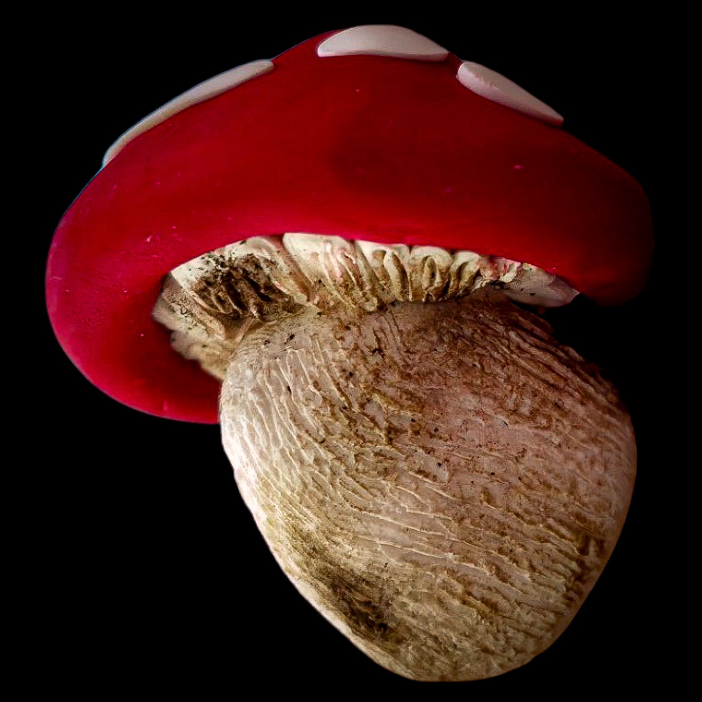 Mushroom Magnet - Artisan Oasis