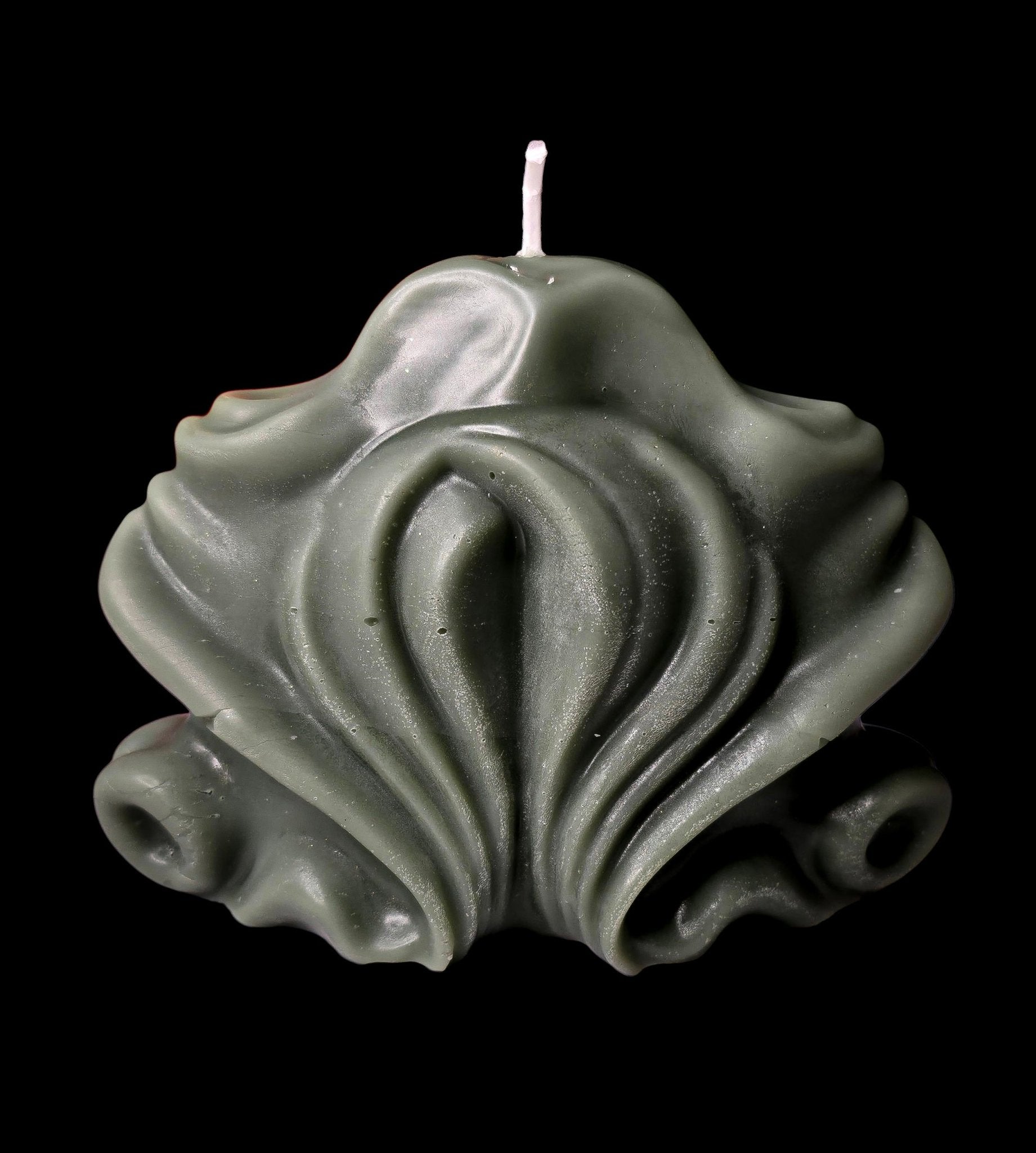 "She" Shell - Artisan Oasis