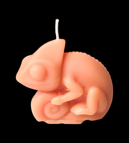 Chameleon - Artisan Oasis