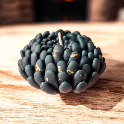 Chrysanthemum flower